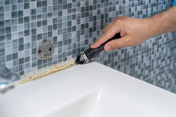 Best Toxic Mold Removal  in Goodview, MN